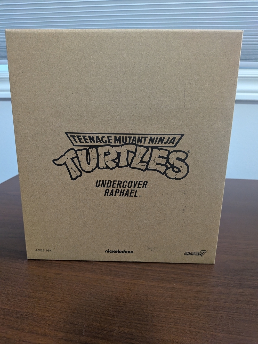TMNT Undercover Raphael Collectible - Picture 5 of 6